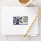 ムース住所 シール (インサイチュ)