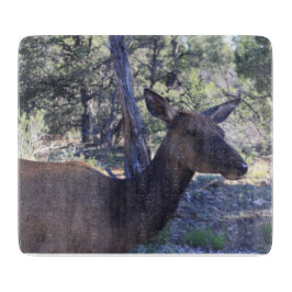 ムース切削ボード カッティングボード