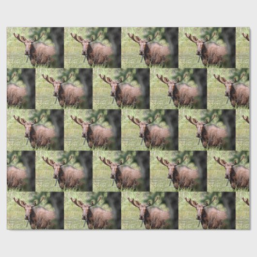 ムース包装紙 ラッピングペーパー (フラット)