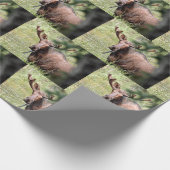 ムース包装紙 ラッピングペーパー (角)