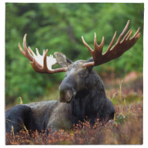 ムース布ナプキン