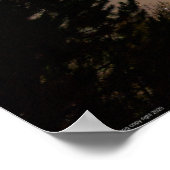 ムース座オジベ ポスター (角)