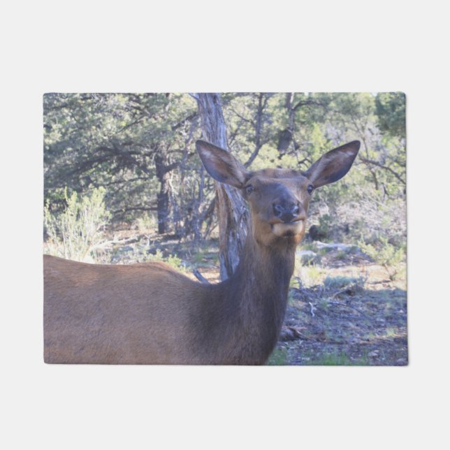 ムース形式 ドアマット (正面)