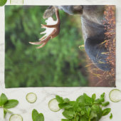 ムース手タオル キッチンタオル (折り畳み)