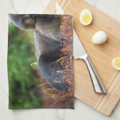 ムース手タオル キッチンタオル (四つ折り)