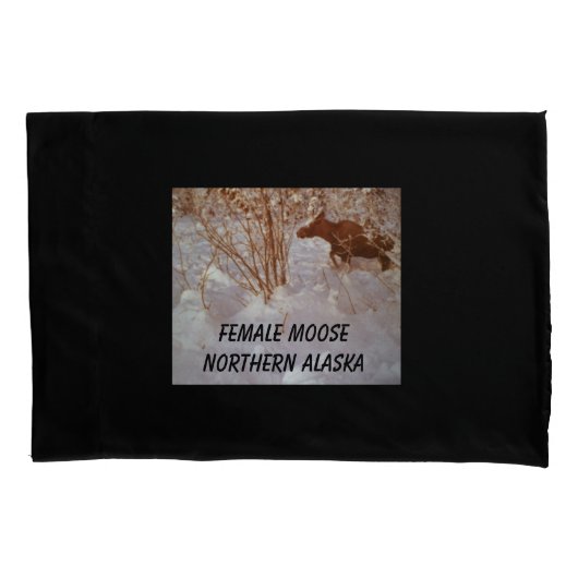 ムース枕ローケース 枕カバー (正面)