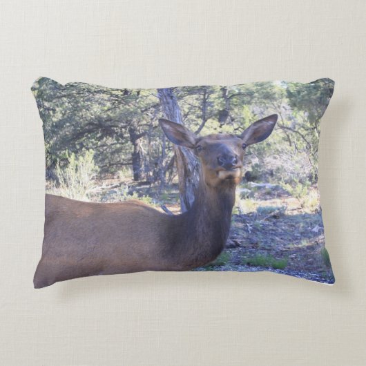 ムース枕 アクセントクッション (正面)