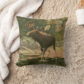 ムース歩くイン水 クッション (ブランケット)