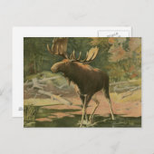 ムース歩くイン水 ポストカード (正面/裏面)