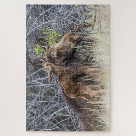 ムース生まれたばかりのカーフカーフの母親のナッツリング ジグソーパズル (縦)