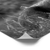 ムース白黒フォトモダンキャ素朴ビン ポスター (角)