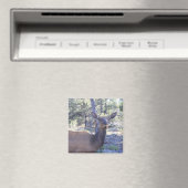 ムース磁石 マグネット (インサイチュ (食洗機))