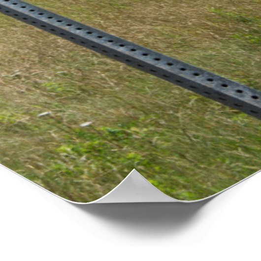 ムース警告標識 ポスター (角)