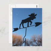 ムース風見計 ポストカード (正面/裏面)