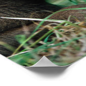 ムース、アルケス、子牛の草の中に横たわる、Kenai ポスター (角)