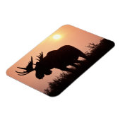 ムース、アルセス・アルケス、大きな〔雄ジカの〕枝角の雄牛。 マグネット (左側)