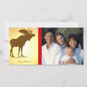 ムース・クリスマス シーズンカード (正面)