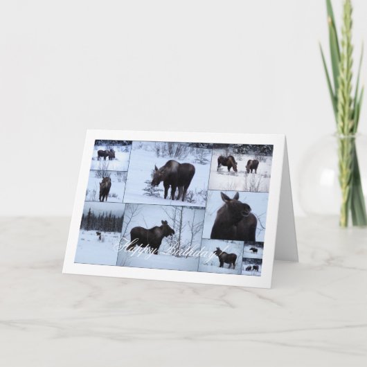 ムース・コラージュ;ハッピーバースデー カード (正面)