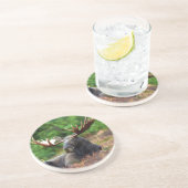 ムース・コースター コースター (側面)