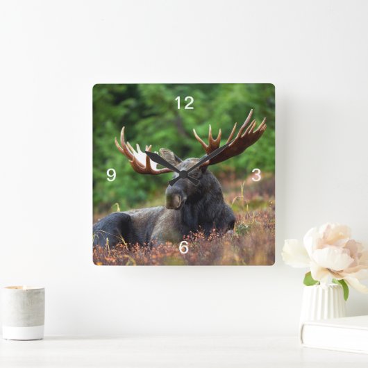 ムース スクエア壁時計 (ホーム)
