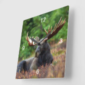 ムース スクエア壁時計 (傾斜)