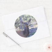 ムース・ステッカー ラウンドシール (封筒)