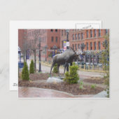 ムース!セントジョン ポストカード (正面/裏面)