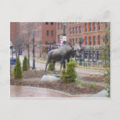 ムース!セントジョン ポストカード (正面)