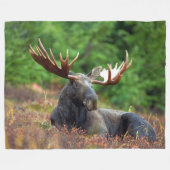 ムース フリースブランケット (正面(横))