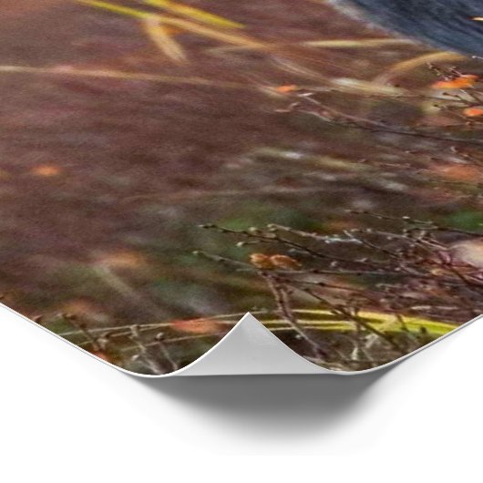 ムース！ ポスター (角)