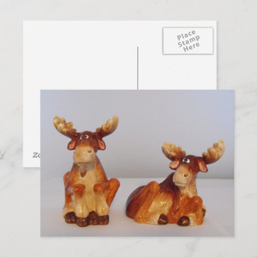 ムース ポストカード (正面/裏面)