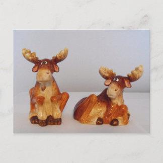 ムース ポストカード