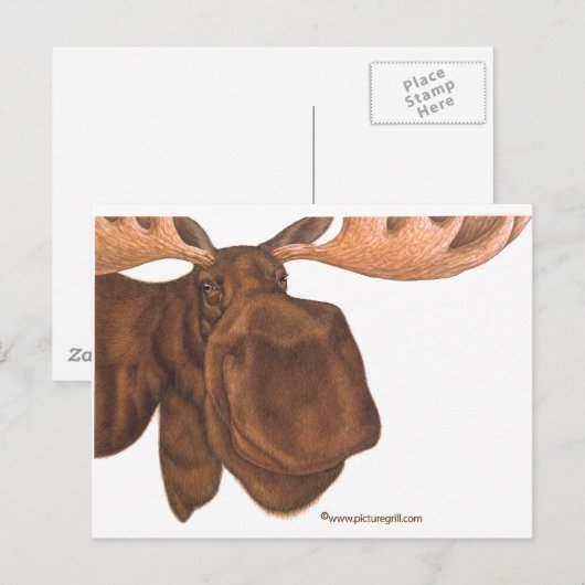 ムース ポストカード (正面/裏面)