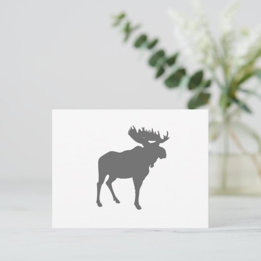 ムース ポストカード (スタンド正面)