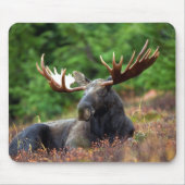 ムース！ マウスパッド (正面)