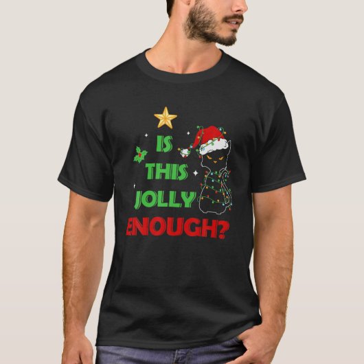 ムーディキャットクリスマスライトですてき十分か？C Tシャツ (正面)