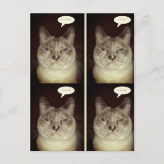 ムーディキャット ポストカード