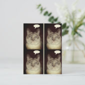 ムーディキャット ポストカード (スタンド正面)