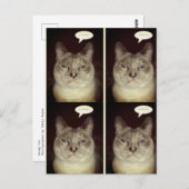 ムーディキャット ポストカード (正面/裏面)