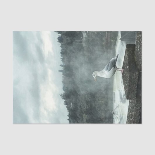 ムーディシーガルデコペ紙 薄葉紙 (正面)