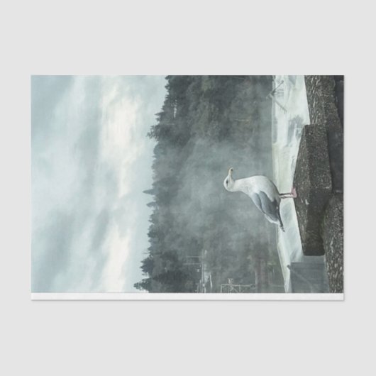 ムーディシーガルデコペ紙 薄葉紙 (正面)