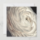 ムーディチャームホワイトフローラブライダルシャワー 招待状 (裏面)