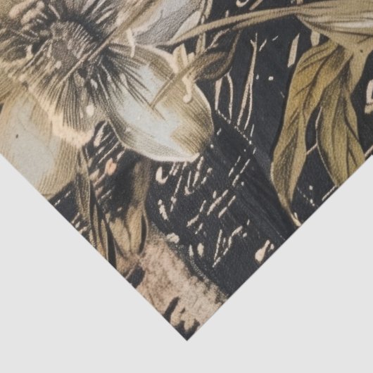 ムーディピンクとホワイトのフローラポピー 薄葉紙 (詳細)