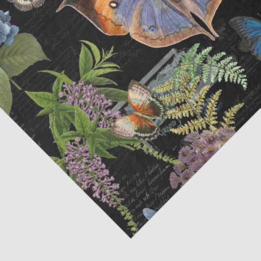 ムーディフローラメドーバタフライエフエメラデクページ 薄葉紙 (詳細)