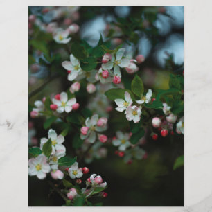 ムーディーなリンゴの木の花咲く スクラップブック ペーパー (ライト)