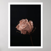 ムーディー白いバラの静物画フェミニン画 ポスター (正面)