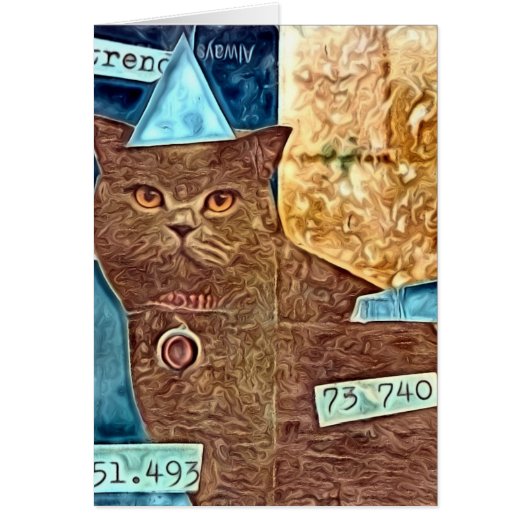 ムーディ子猫 (正面)