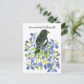 ムービングアナウンスコロラドバンティングオダマキ(植物) ポストカード (スタンド正面)