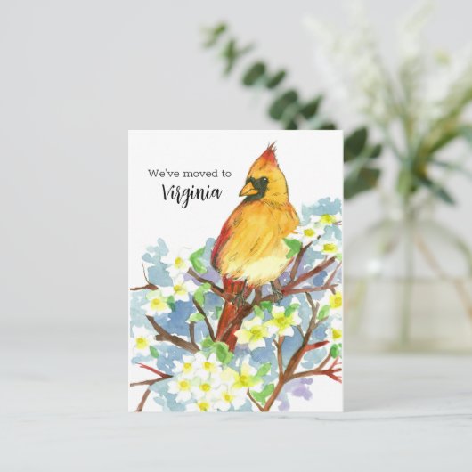 ムービングアナウンスバージニア(鳥)ショウジョウコウカンチョウドッグウッド ポストカード (スタンド正面)
