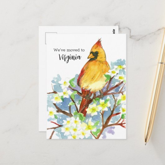 ムービングアナウンスバージニア（鳥）ショウジョウコウカンチョウドッグウッド ポストカード (正面/裏面インサイチュ)